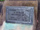 image of grave number 401095